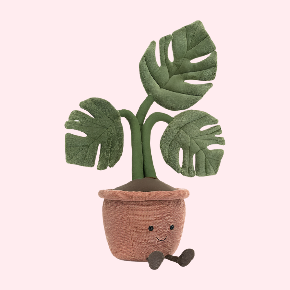 Amuseables-Monstera-Plant